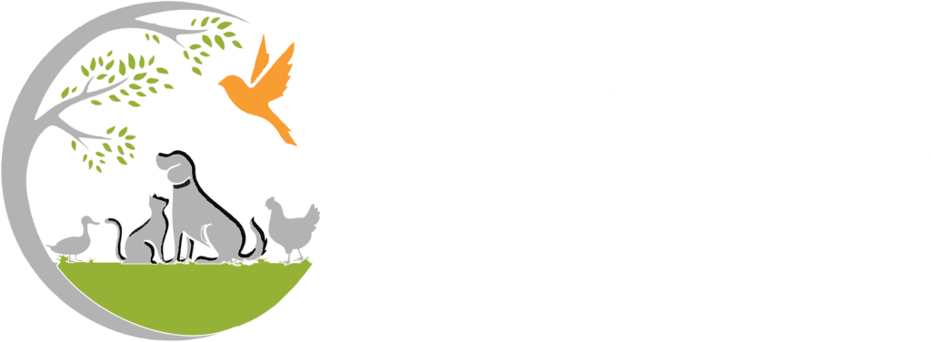 Amna Birds